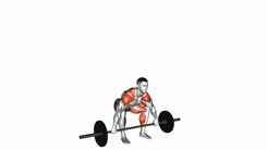 Barbell Snatch